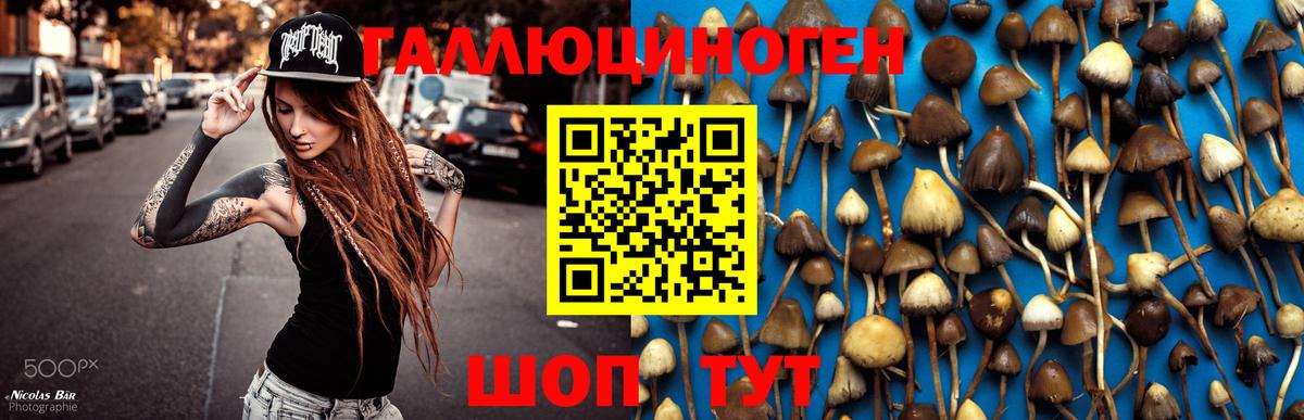 Шатура  Галлюциногенные грибы MAGIC MUSHROOMS  Псилоцибиновые грибы GOLDEN TEACHER  Вход с VPN 